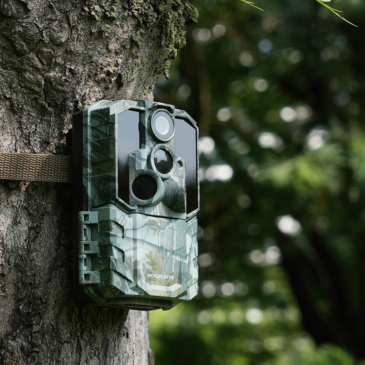 TRAIL CAMERAS