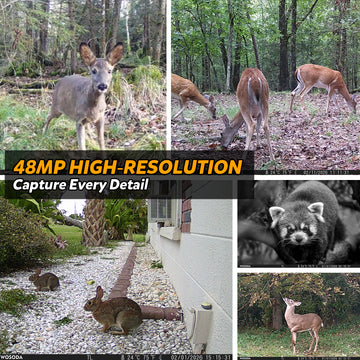 WOSODA G900 Trail Camera 48MP 4K Hunting Camera 3 Pack