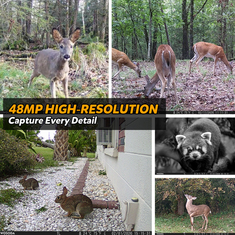 WOSODA G900 Trail Camera 48MP 4K Hunting Camera 3 Pack