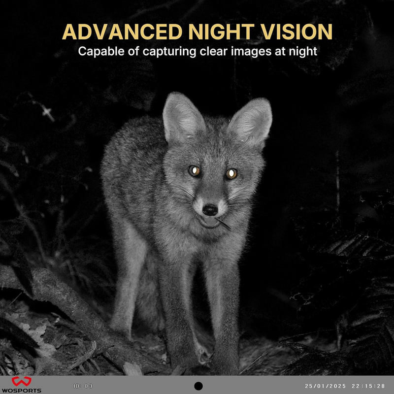 WOSPORTS H-41 Trail Camera 2 Pack