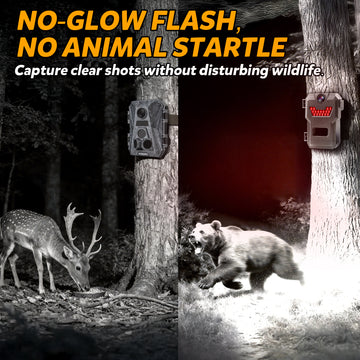 WOSODA G900 Trail Camera 48MP 4K Hunting Camera 3 Pack
