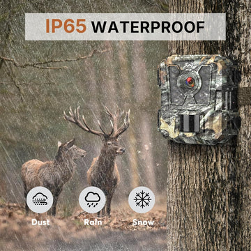 WOSODA Mini Trail Camera 3 Pack
