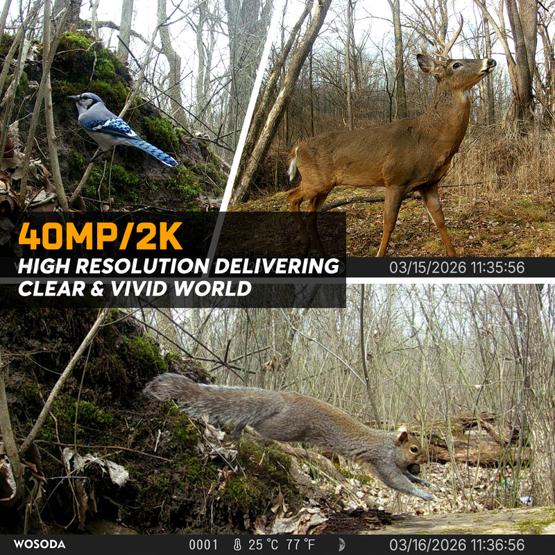 WOSODA G300plus Trail Camera 40MP 2K Hunting Camera 3 Pack