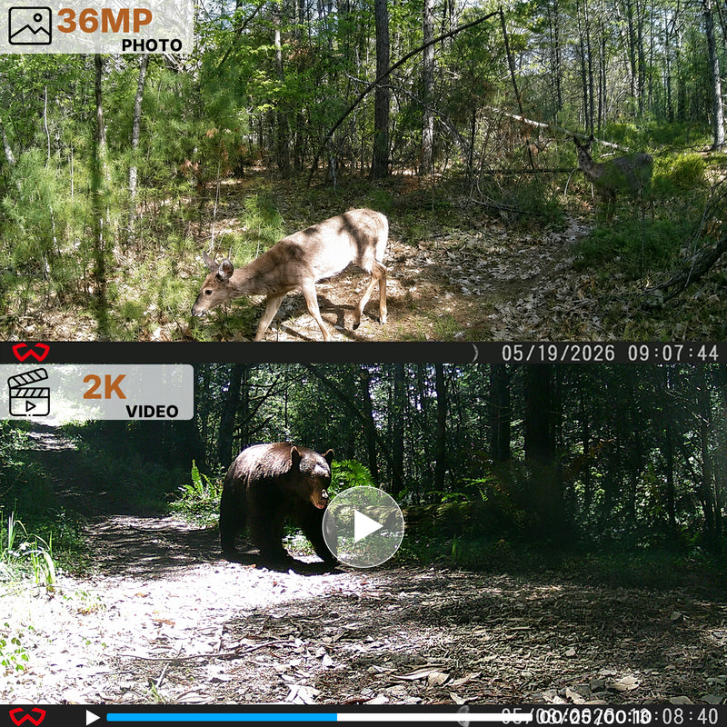 WOSODA Mini Trail Camera 3 Pack