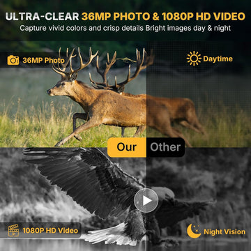 WOSPORTS G100 Mini Trail Camera 2 Pack