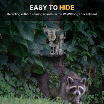 WOSPORTS G100 Mini Trail Camera 2 Pack