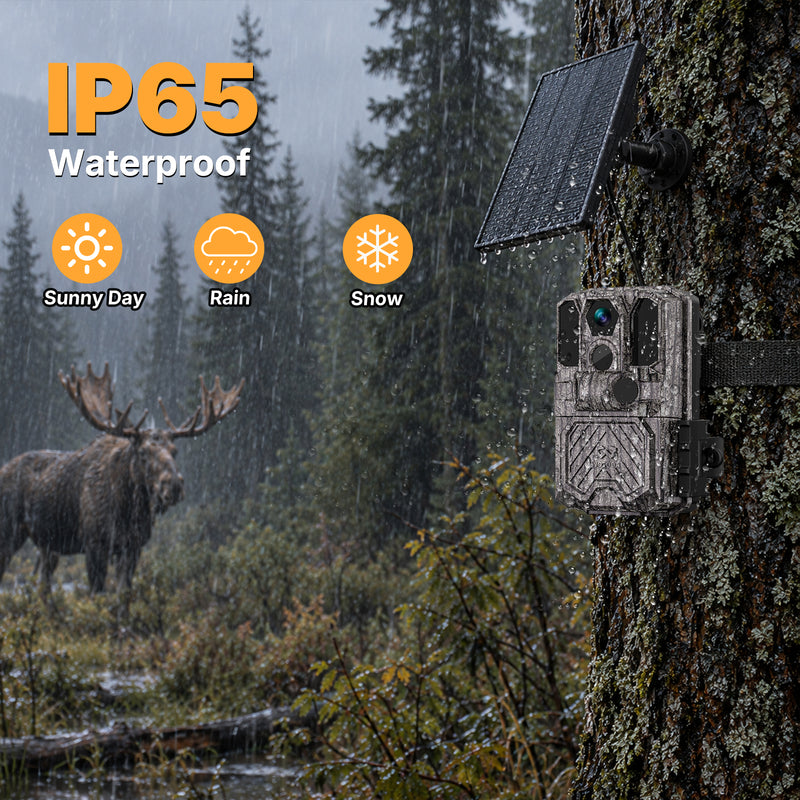 WOSODA G300plus Solar Powered Trail Camera