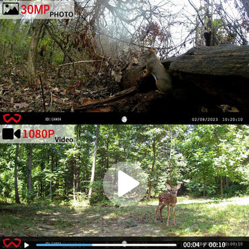 WOSODA Mini Trail Camera 4 Pack