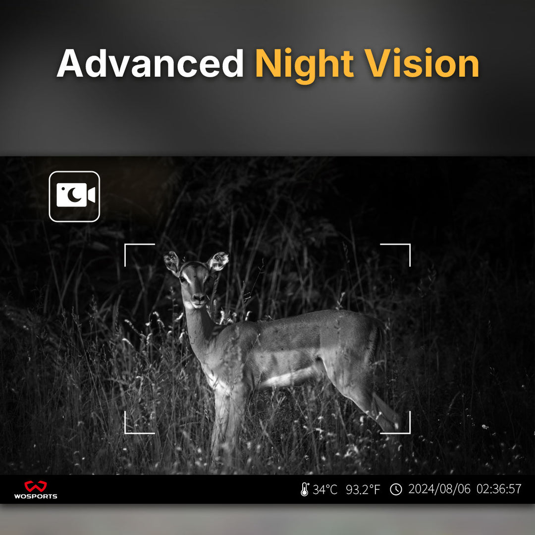 New Year Adventure Bundle: NV400 Night Vision White + G100 Trail Cameras 3 Pack