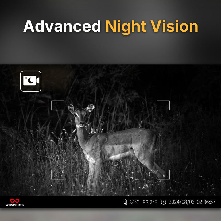 New Year Adventure Bundle: NV400 Night Vision White + G100 Trail Cameras 3 Pack