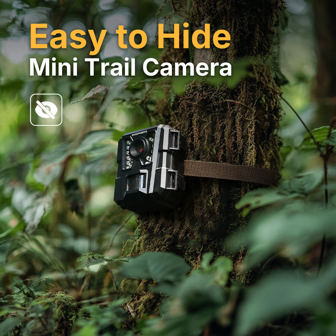 Easy to Hide Mini Trail Camera