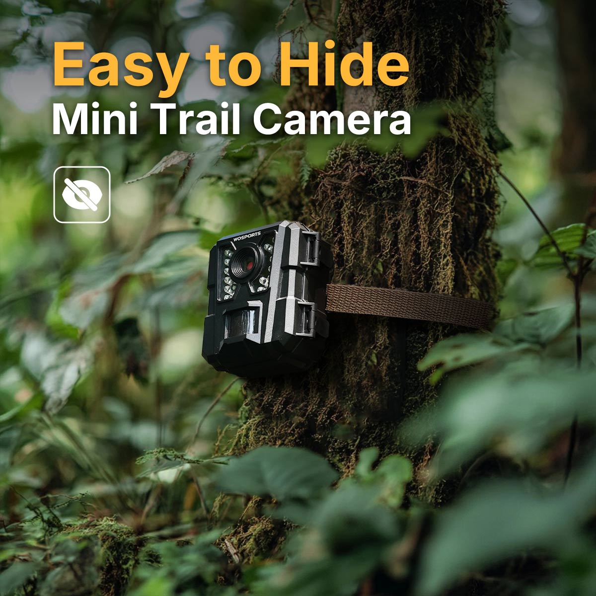RD1003 Wide angle trail camera with motion detection and IR