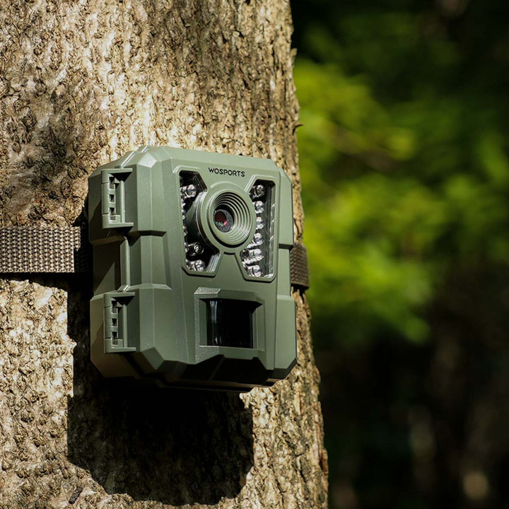 Easy to Hide Mini Wildlife Camera