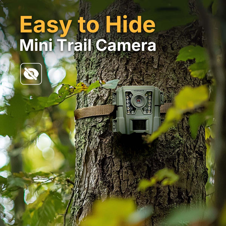 Easy to Hide Mini Wildlife Camera