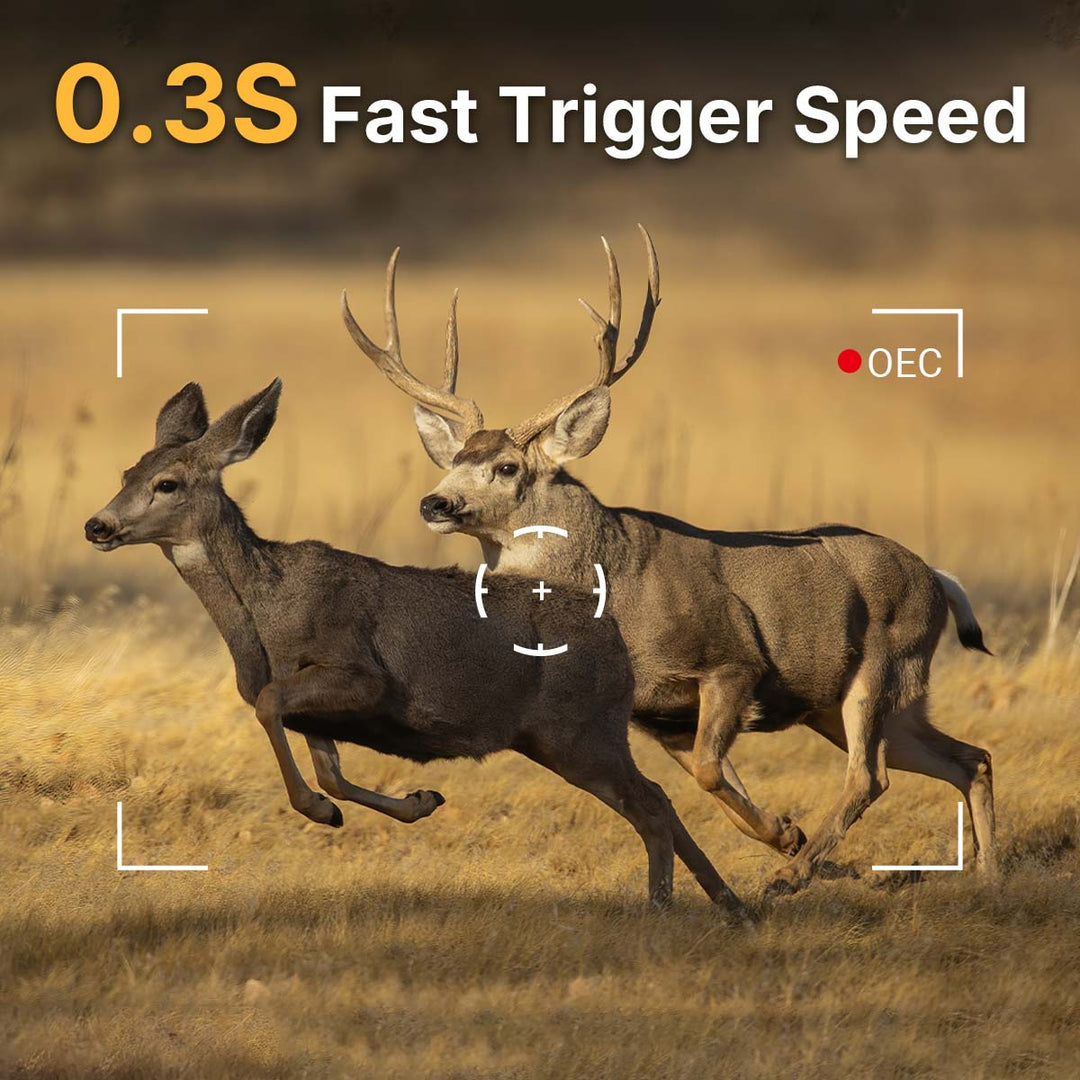 0.3s Fast Trigger Speed