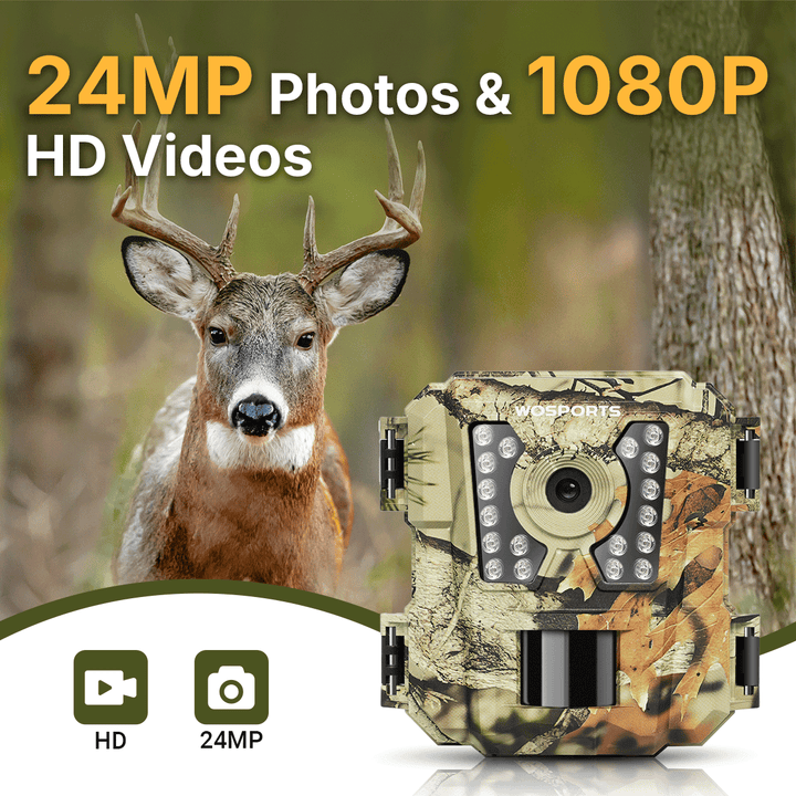 24MP Photos & 1080P HD Videos