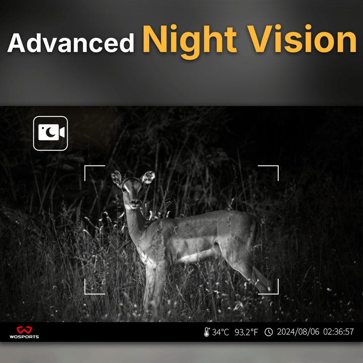 Advanced Night Vision