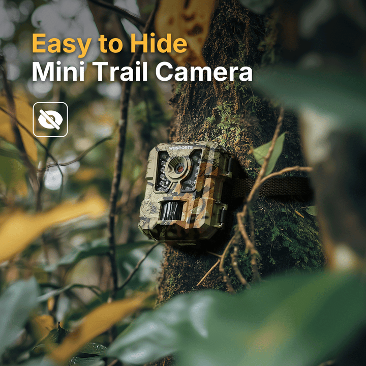 Easy to Hide Mini Trail Camera