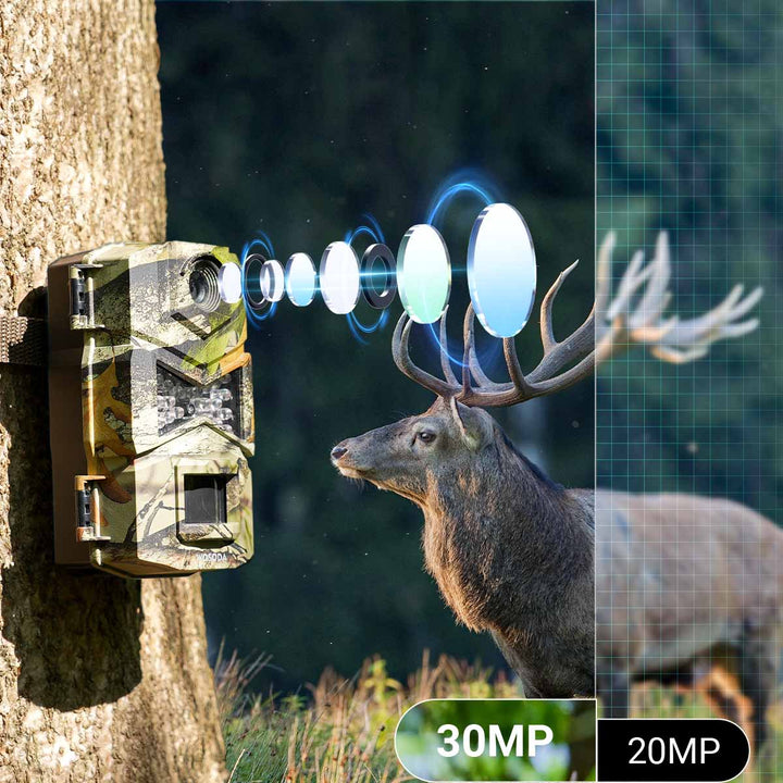 High-Resolution Photos & Videos