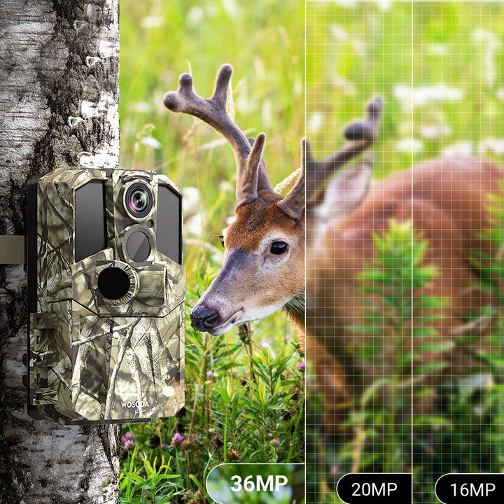 36MP Photos & 4K Videos