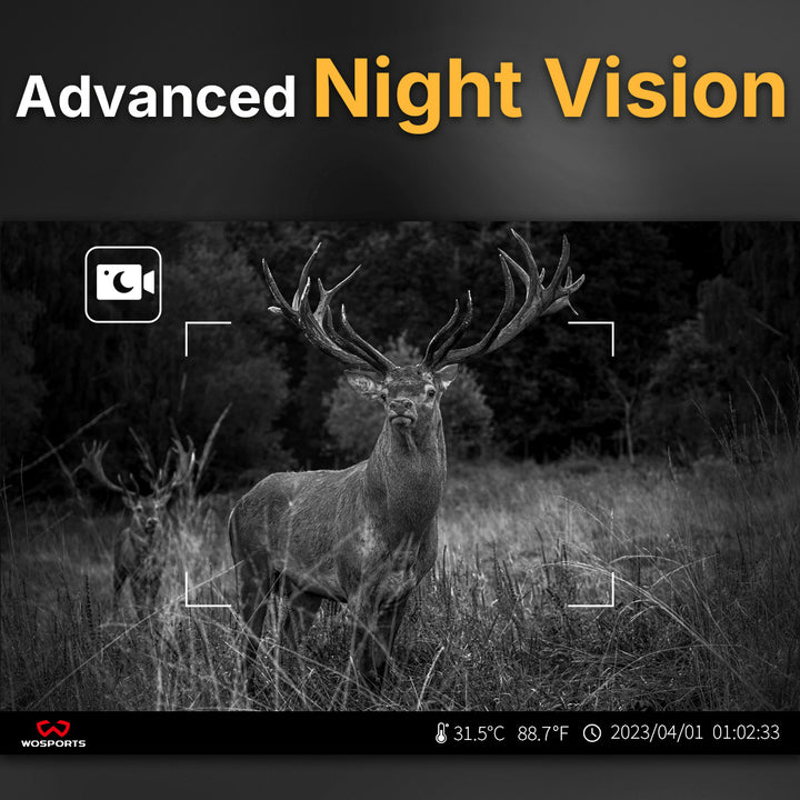 Advanced Night Vision