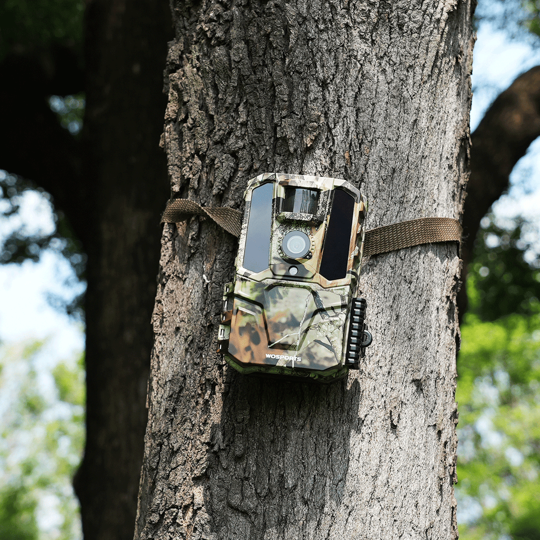 WOSPORTS TRAIL CAMERAS