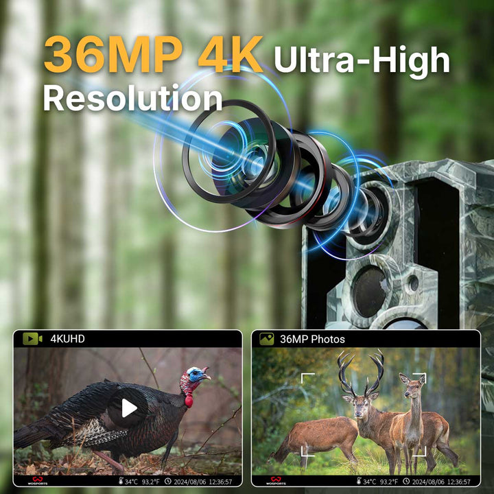 36MP High-Resolution Images & 4K Ultra HD Videos