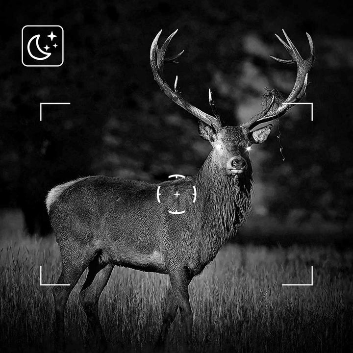 Advanced Night Vision