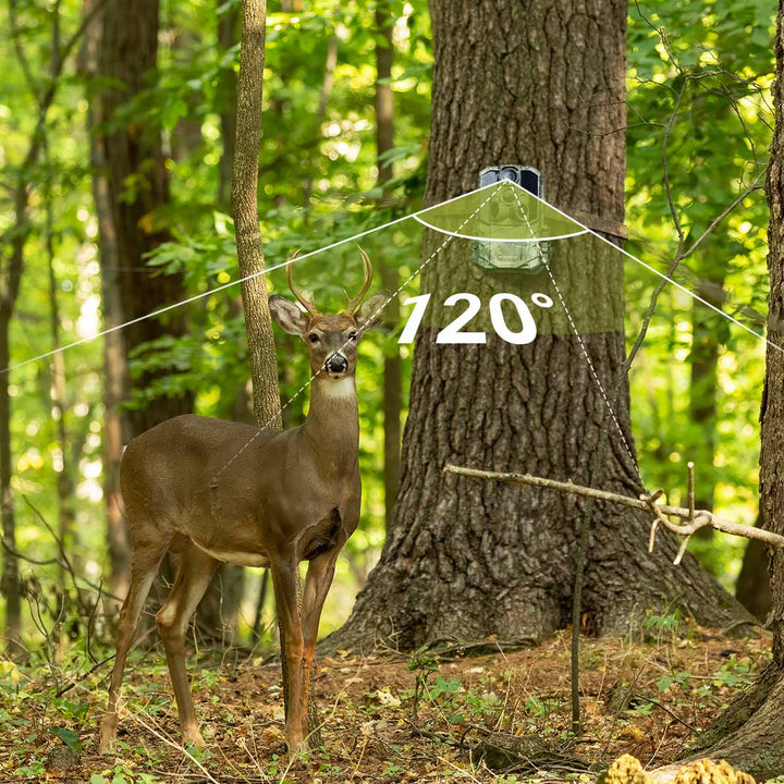 120-Degree Wide Detection Angle