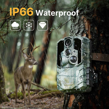 IP66 Waterproof and Durable Design