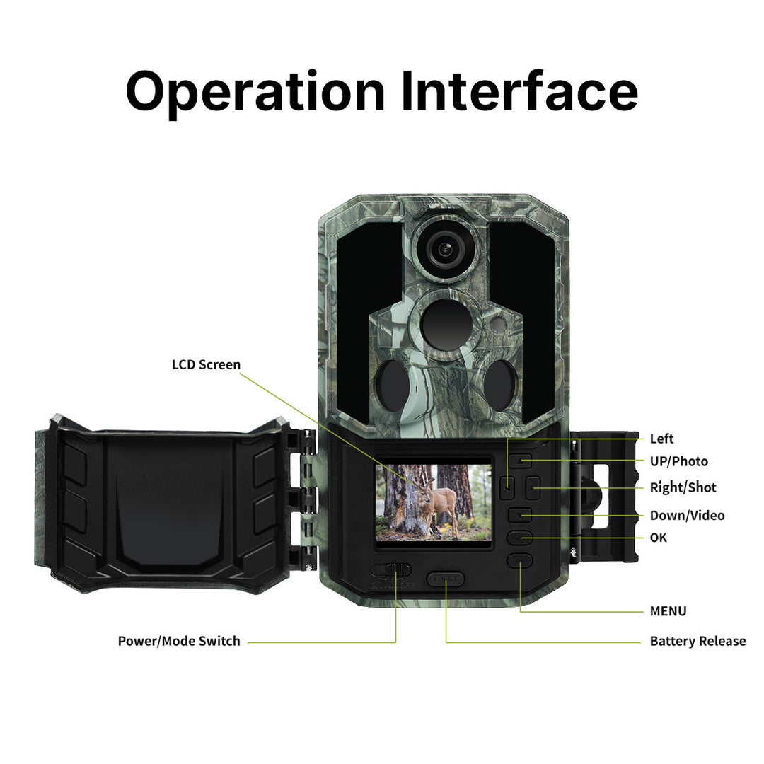 User-Friendly Game Camera: Enhance Your Wildlife Tracking