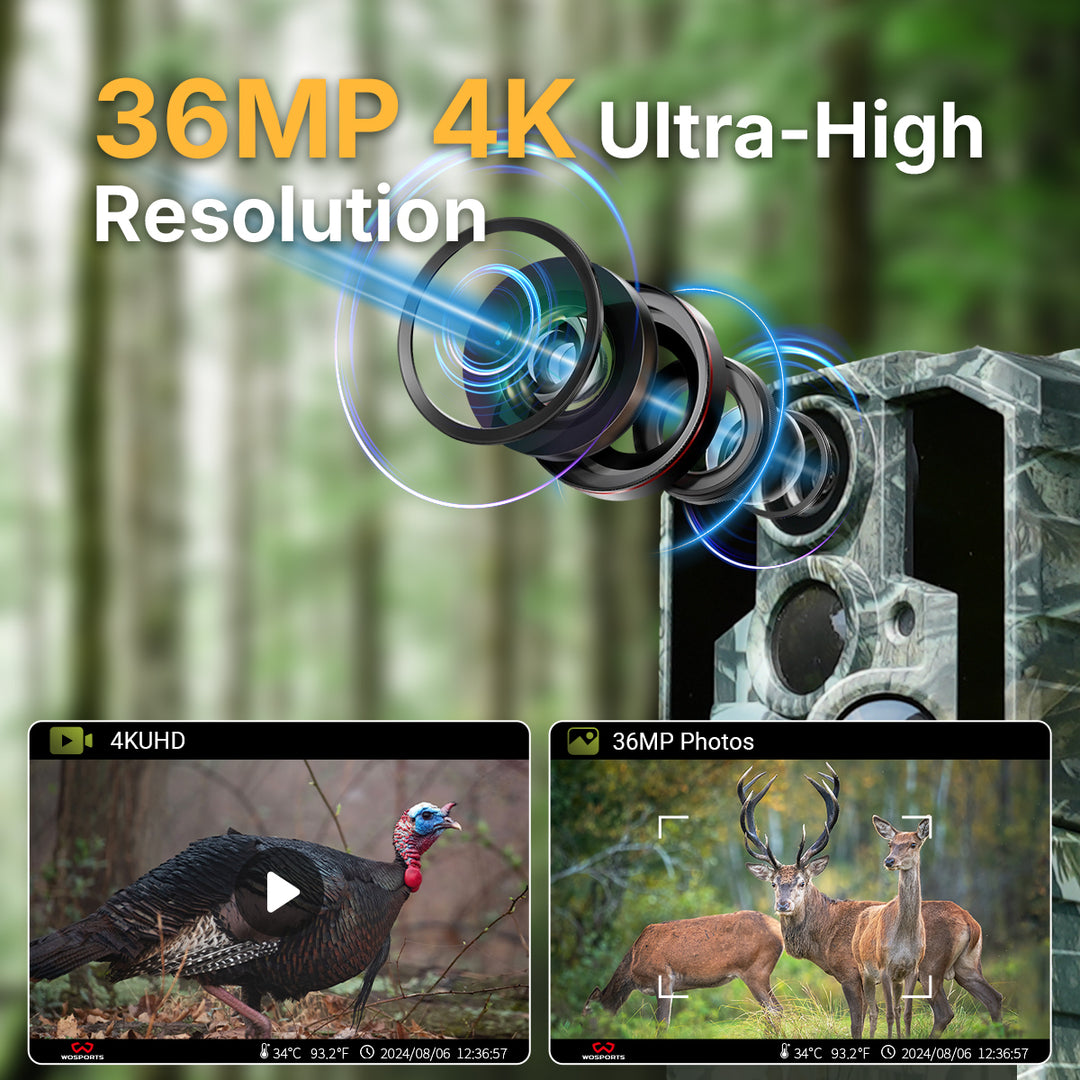 36MP 4K Ultra-High Resolution