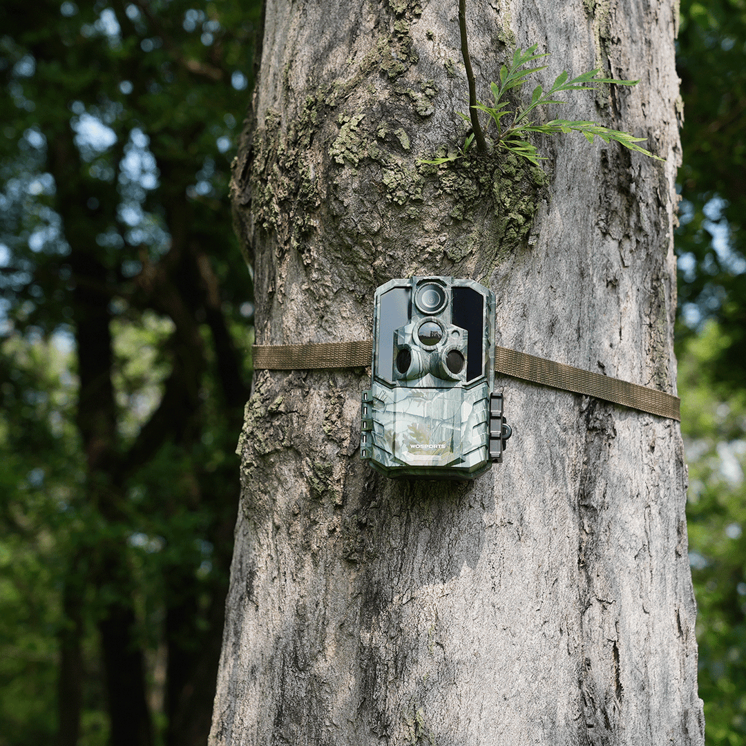 WOSPORTS TRAIL CAMERAS