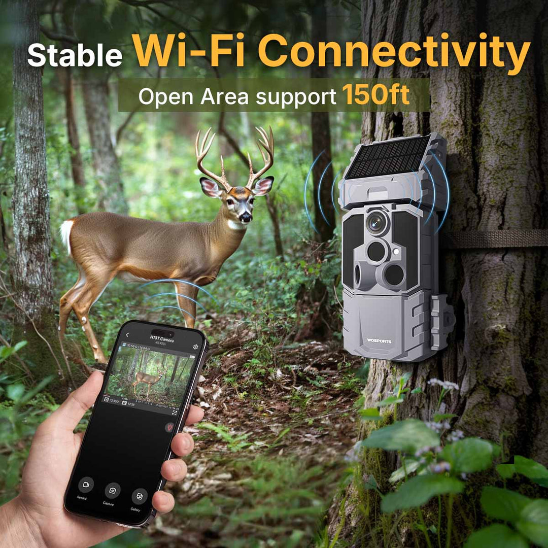 Stable Wi-Fi Connectivity