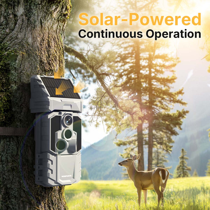 Solar-Powered Continuous Operation