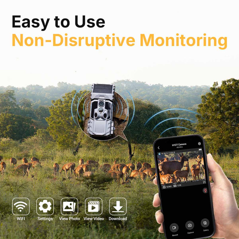 Easy to Use, Non-Disruptive Monitoring