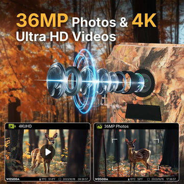 36MP Photos & 4K Ultra HD Videos