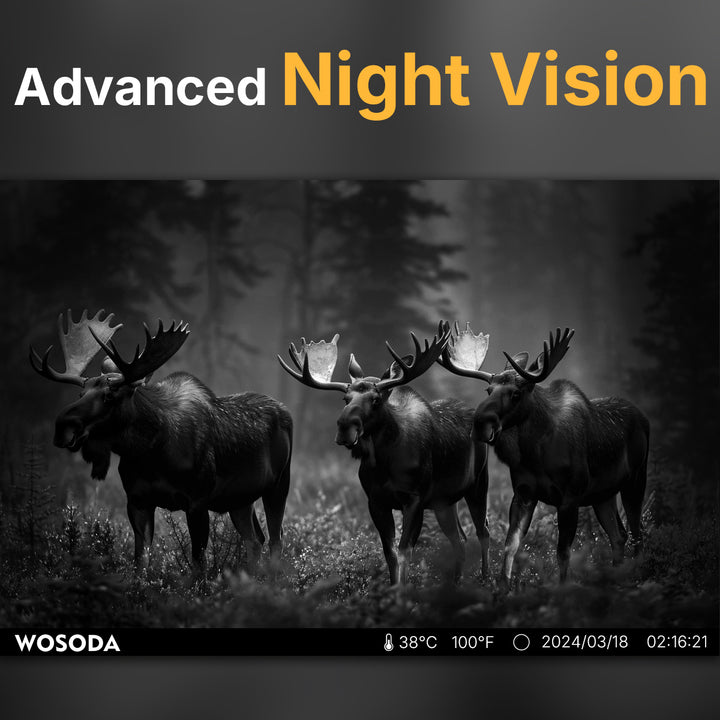 Advanced Night Vision