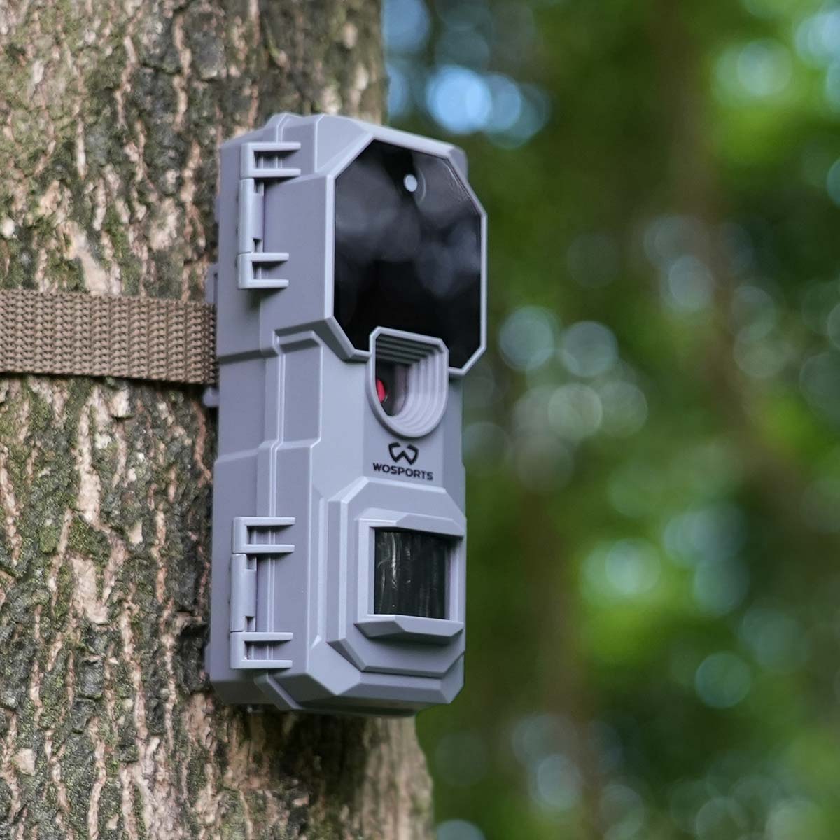 WOSPORTS H-41 Wildlife Trail Camera 2 Pack Bundle