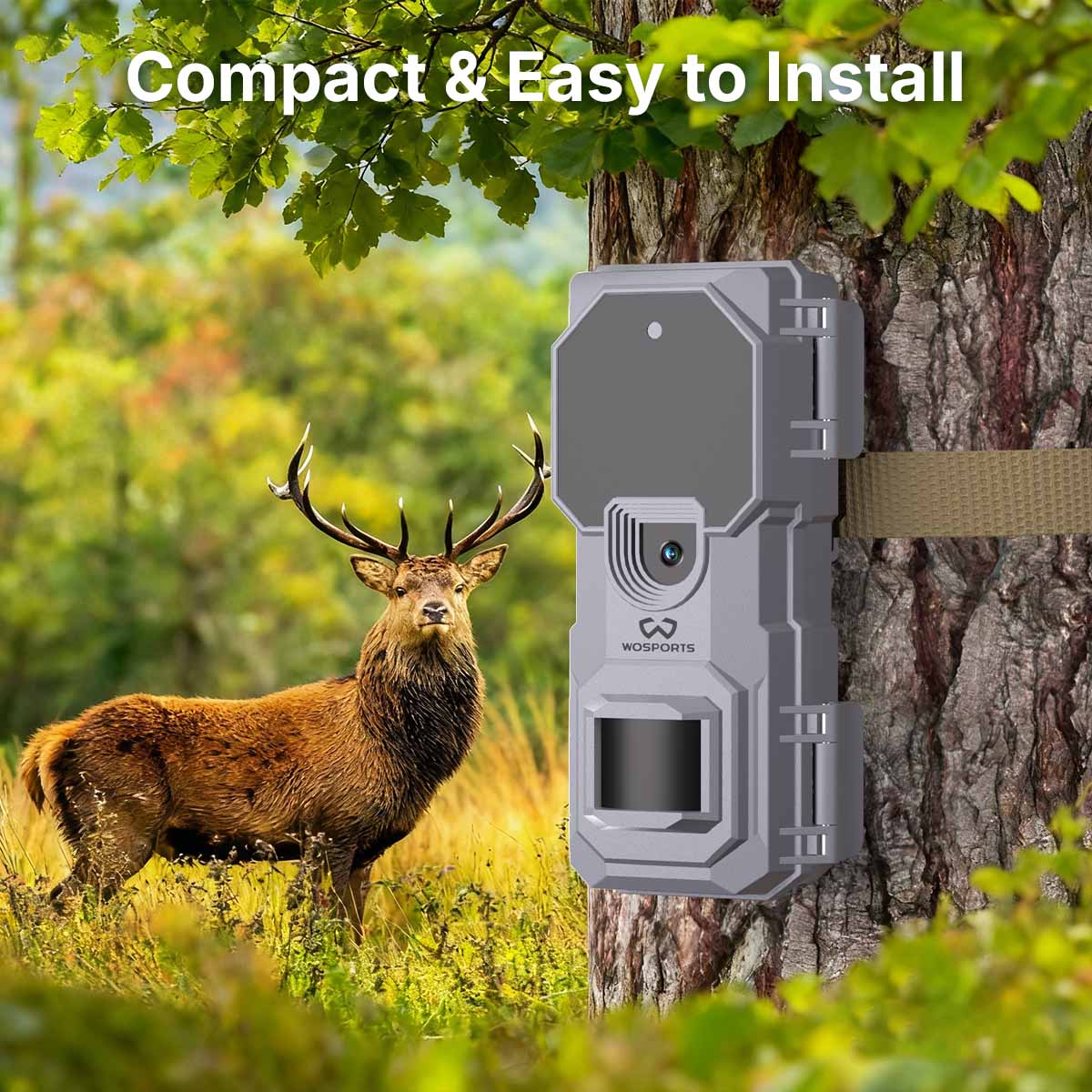 WOSPORTS H-41 Wildlife Trail Camera 2 Pack Bundle