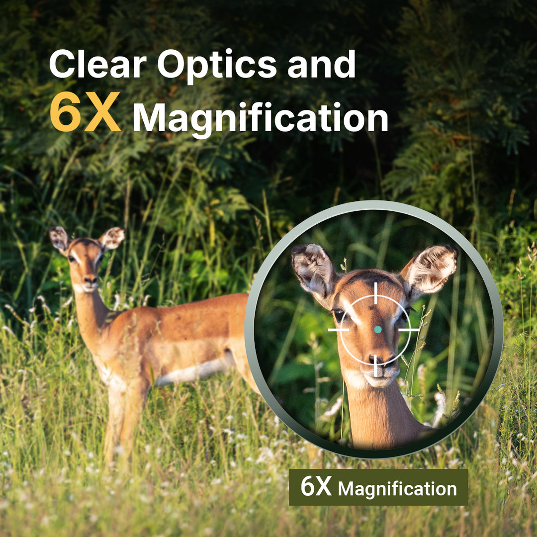 Clear Optics and 6X Magnification