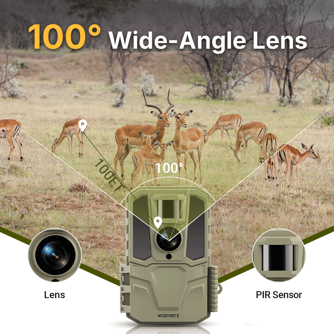 100° Wide-Angle Lens