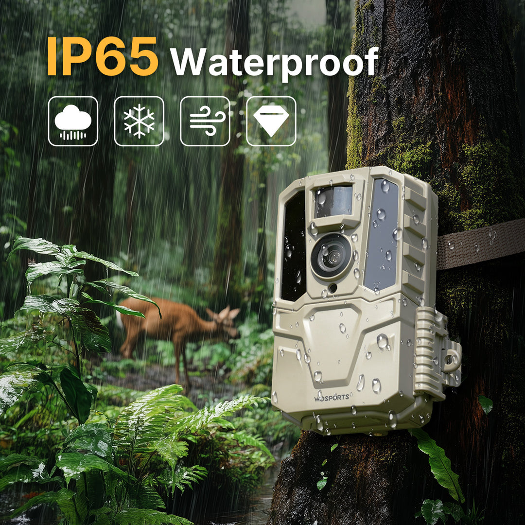 IP65 Waterproof