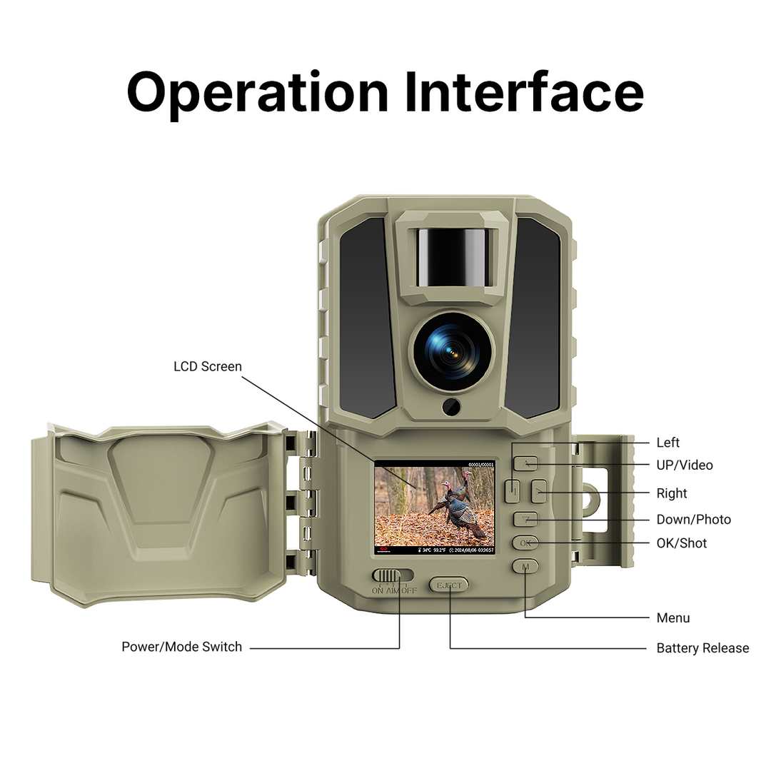 Operation Interface