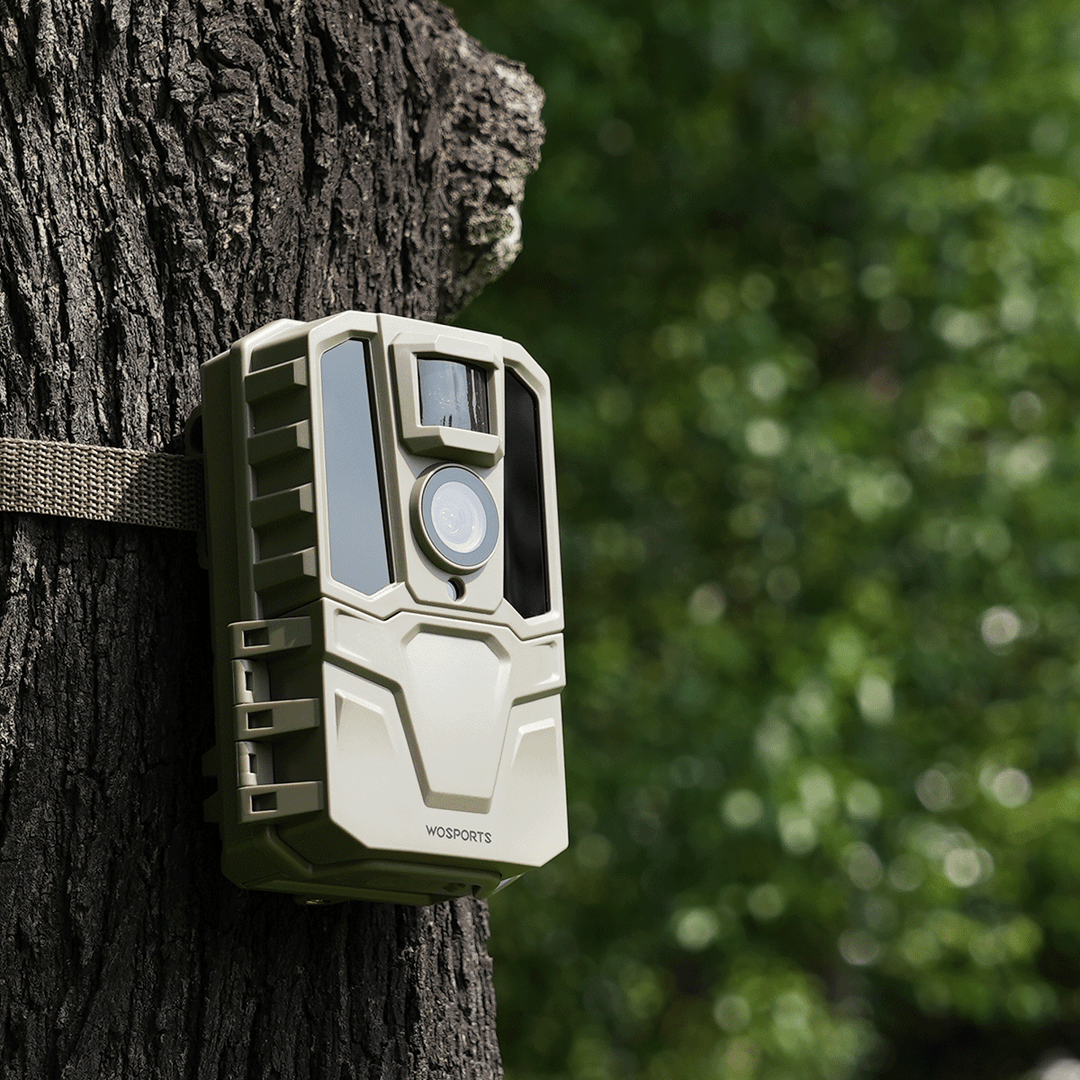 TRAIL CAMERA WITH FULL COLOR NIGHT VISION 