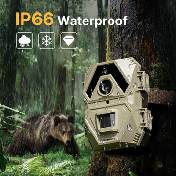 IP66 Waterproof