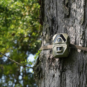 WOSPORTS TRAIL CAMERAS