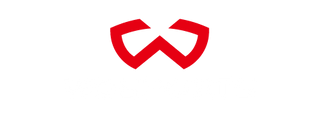 WOSPORTS LOGO