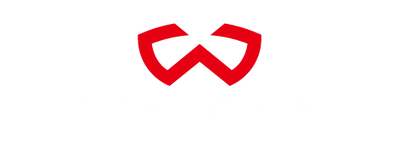 WOSPORTS LOGO