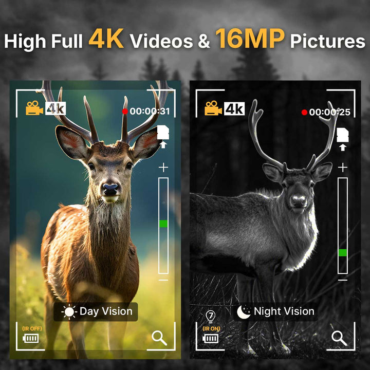 High Full 4K Videos & 16MP Pictures